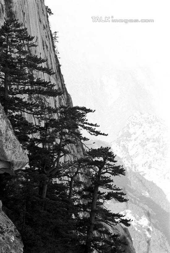 无人,竖图,黑白,室外,白天,正面,旅游,度假,华山,石头,美景,山,山脉,植物,中国,亚洲,石子,景观,山峰,悬崖,山峦,娱乐,树,树木,自然,群山,享受,休闲,景色,放松,生长,成长,自然风光,东亚,陕西,陕西省,中华人民共和国,绝壁,西北地区,陕,渭南,渭南市,奇险天下第一山,西岳,西岳华山,石块,岩石,五岳之一,shcm1