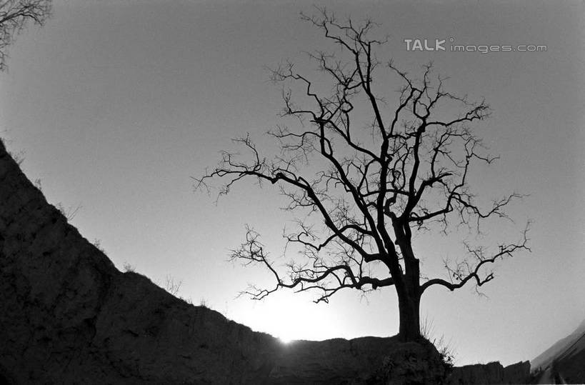 无人,横图,黑白,室外,白天,仰视,旅游,度假,石头,美景,山,山脉,植物,中国,亚洲,阴影,光线,石子,影子,景观,山峰,山峦,背光,娱乐,树,树木,阳光,自然,群山,享受,休闲,景色,放松,生长,成长,自然风光,逆光,东亚,陕西,陕西省,陇县,宝鸡市,中华人民共和国,西北地区,陕,宝鸡,石块,岩石,低角度拍摄,shcm1