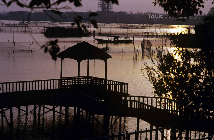 无人,栏杆,横图,室外,白天,正面,旅游,度假,湖,湖泊,美景,日落,水,植物,上海,中国,亚洲,波纹,木板,湖面,景观,水流,水面,晚霞,霞光,落日,围栏,桥,木桥,涟漪,背光,娱乐,护栏,栈桥,树,树木,绿色,倒影,水纹,自然,黄昏,波浪,湖水,享受,休闲,景色,彩霞,放松,朱家角,生长,成长,人行桥,木板桥,申,倒映,自然风光,逆光,青浦区,东亚,淀山湖,上海市,朱家角镇,中华人民共和国,沪,华东地区,水晕,夕照,反照,薄暮,朱家角古镇,淀山湖风景区,夕阳,彩图,傍晚,斜阳,shcm1