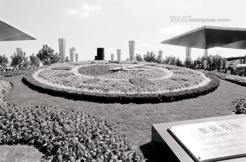 无人,公园,横图,黑白,室外,白天,正面,度假,草地,草坪,花海,花圃,美景,植物,城市风光,城市,叶子,上海,中国,亚洲,盛开,景观,花蕾,娱乐,浦东,草,花,花瓣,花朵,花卉,鲜花,树,树木,天空,自然,花丛,花束,花田,天,花苞,花蕊,享受,休闲,景色,放松,世纪公园,生长,成长,申,浦东新区,东亚,上海市,中华人民共和国,沪,华东地区,浦东中央公园,shcm1