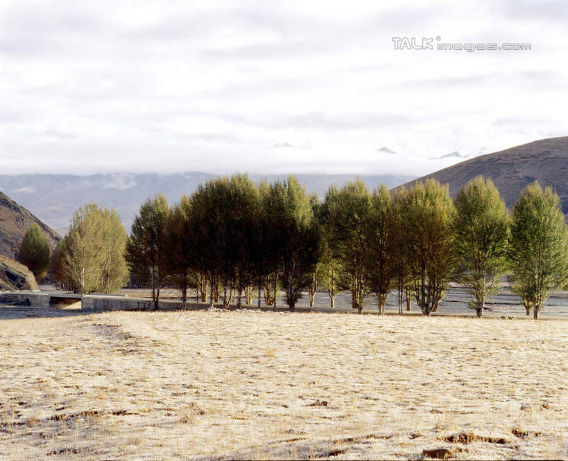 无人,横图,室外,白天,正面,旅游,度假,石头,美景,山,山脉,树林,植物,中国,亚洲,阴影,光线,石子,影子,景观,山峰,山峦,娱乐,树,树木,绿色,天空,阳光,自然,群山,天,享受,休闲,景色,放松,四川省,生长,成长,自然风光,东亚,四川,稻城,甘孜藏族自治州,中华人民共和国,西南地区,川,甘孜,甘孜州,石块,岩石,彩图,稻城县,shcm1