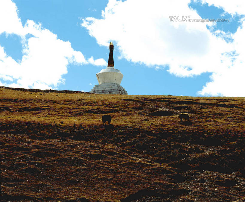 无人,寺庙,横图,室外,白天,正面,旅游,度假,名胜古迹,植物,标志建筑,地标,建筑,中国,亚洲,阴影,节日,枯萎,遗迹,光线,影子,云,云朵,枯草,燃烧,云彩,古迹,文化,文物,娱乐,建设,古建筑,草,黄色,蓝色,白云,蓝天,天空,阳光,香火,庙宇,天,祈祷,享受,休闲,健康,旅游胜地,放松,许愿,宗教,信仰,四川省,晴朗,纪念,祈求,古文明,东亚,四川,甘孜藏族自治州,理塘县,中华人民共和国,西南地区,川,甘孜,甘孜州,理塘,平安,晴空,彩图,庙,寺,shcm1