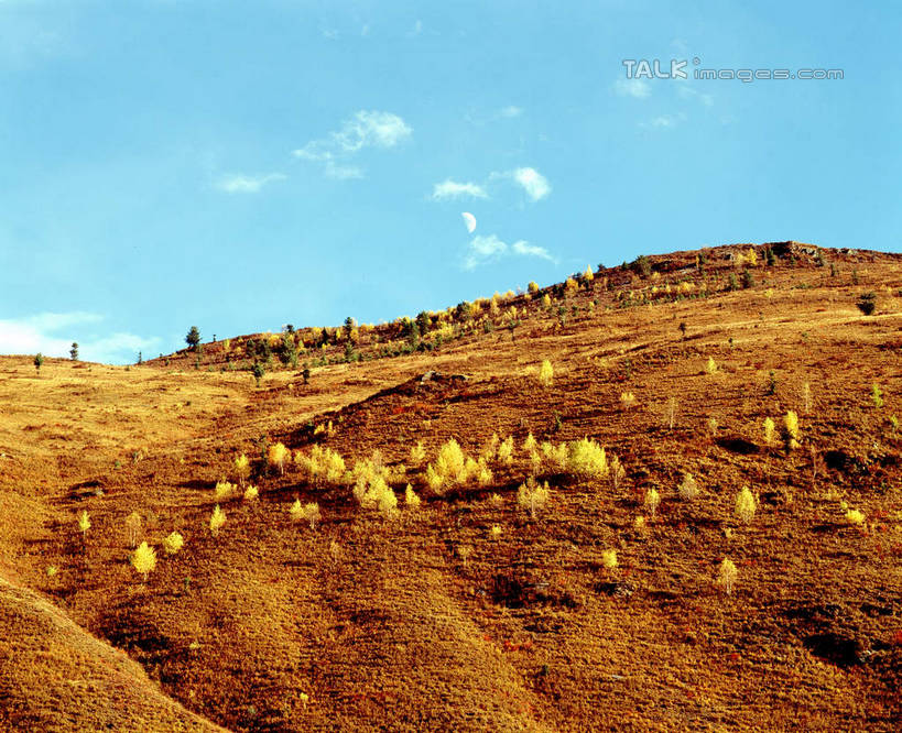 无人,横图,室外,白天,正面,旅游,度假,石头,美景,山,山脉,植物,中国,亚洲,阴影,光线,石子,影子,景观,山峰,云,云朵,山峦,云彩,娱乐,树,树木,蓝色,绿色,白云,蓝天,天空,阳光,自然,群山,天,享受,休闲,景色,放松,四川省,生长,晴朗,成长,自然风光,东亚,四川,康定,甘孜藏族自治州,康定县,新都桥,中华人民共和国,西南地区,川,甘孜,甘孜州,石块,岩石,晴空,彩图,新都桥镇,shcm1