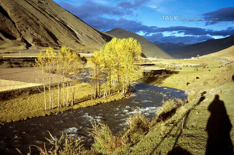 无人,横图,室外,白天,正面,旅游,度假,草地,草坪,河流,石头,美景,山,山脉,水,植物,中国,亚洲,阴影,光线,石子,影子,河水,景观,山峰,水流,云,云朵,山峦,云彩,娱乐,草,树,树木,蓝色,绿色,白云,蓝天,天空,阳光,自然,群山,天,享受,休闲,景色,放松,四川省,生长,晴朗,成长,自然风光,东亚,四川,康定,甘孜藏族自治州,康定县,新都桥,中华人民共和国,西南地区,川,甘孜,甘孜州,石块,岩石,晴空,彩图,新都桥镇,shcm1