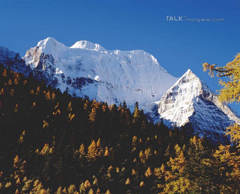 无人,横图,室外,白天,正面,旅游,度假,石头,美景,森林,山,树林,雪,雪山,植物,大雪,中国,亚洲,阴影,光线,石子,影子,冰,积雪,景观,山峰,雪景,冬季,冬天,山峦,娱乐,树,树木,蓝色,绿色,蓝天,天空,阳光,自然,天,享受,休闲,景色,放松,寒冷,四川省,生长,晴朗,成长,冰冷,自然风光,东亚,四川,稻城,亚丁,甘孜藏族自治州,万里无云,中华人民共和国,西南地区,严寒,川,甘孜,甘孜州,冰凉,酷寒,凛冽,凛凛,极冷,石块,岩石,晴空,晴空万里,彩图,稻城三神山,稻城县,稻城亚丁,念青贡嘎日松贡布,三神山,仙乃日,仙乃日神山,仙乃日雪山,亚丁风景区,shcm1