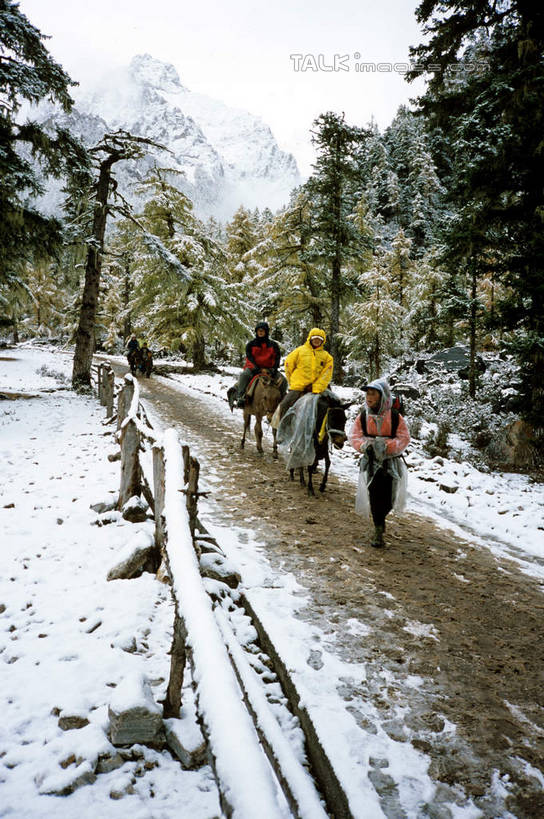 东方人,三个人,栏杆,走,竖图,室外,白天,正面,旅游,度假,美景,森林,山,树林,雪,雪山,植物,大雪,道路,路,中国,亚洲,行人,游客,游人,服装,冰,积雪,景观,山峰,雪景,冬季,冬天,围栏,小路,交通,山峦,休闲装,黄种人,娱乐,护栏,路人,旅客,树,树木,衣服,绿色,自然,享受,休闲,休闲服,景色,放松,寒冷,服饰,四川省,乡间小路,生长,成长,冰冷,自然风光,东亚,四川,稻城,亚丁,甘孜藏族自治州,中华人民共和国,西南地区,严寒,川,甘孜,甘孜州,冰凉,酷寒,凛冽,凛凛,极冷,过客,男人,男性,年轻男性,年轻女性,女人,女性,亚洲人,步行,散步,走路,彩图,全身,稻城县,稻城亚丁,亚丁风景区,shcm1