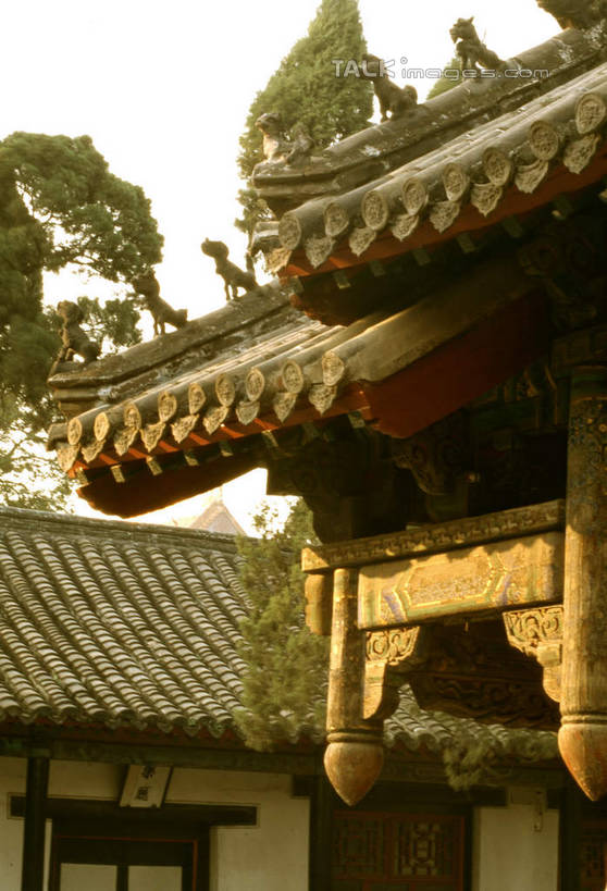 无人,寺庙,竖图,室外,白天,仰视,旅游,度假,名胜古迹,植物,标志建筑,地标,建筑,孔庙,中国,亚洲,阴影,节日,遗迹,光线,瓦片,影子,屋顶,燃烧,顶棚,瓦,古迹,文化,文物,娱乐,建设,古建筑,山东,树,树木,绿色,天空,阳光,自然,香火,庙宇,天,祈祷,享受,休闲,健康,旅游胜地,放松,许愿,宗教,建造,信仰,生长,成长,纪念,祈求,古文明,东亚,屋瓦,曲阜,曲阜市,山东省,中华人民共和国,华东地区,鲁,平安,彩图,低角度拍摄,庙,寺,本庙,shcm1