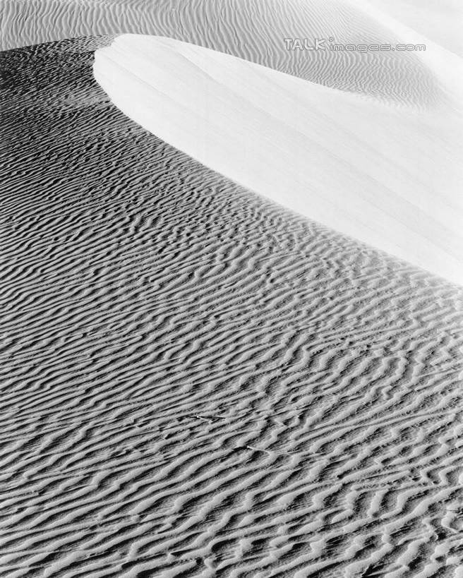 无人,竖图,黑白,室外,白天,正面,旅游,度假,美景,沙漠,中国,亚洲,阴影,光线,纹路,纹理,影子,景观,娱乐,阳光,自然,享受,休闲,景色,放松,自然风光,东亚,新疆,塔克拉玛干沙漠,塔里木,肌理,中华人民共和国,新疆维吾尔自治区,西北地区,塔克拉玛干,塔克拉玛干大沙漠,塔里木盆地,大漠,砂漠,新,shcm1