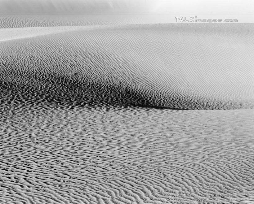 无人,横图,黑白,室外,白天,正面,旅游,度假,美景,沙漠,中国,亚洲,阴影,光线,纹路,纹理,影子,景观,娱乐,阳光,自然,享受,休闲,景色,放松,自然风光,东亚,新疆,塔克拉玛干沙漠,塔里木,肌理,中华人民共和国,新疆维吾尔自治区,西北地区,塔克拉玛干,塔克拉玛干大沙漠,塔里木盆地,大漠,砂漠,新,shcm1