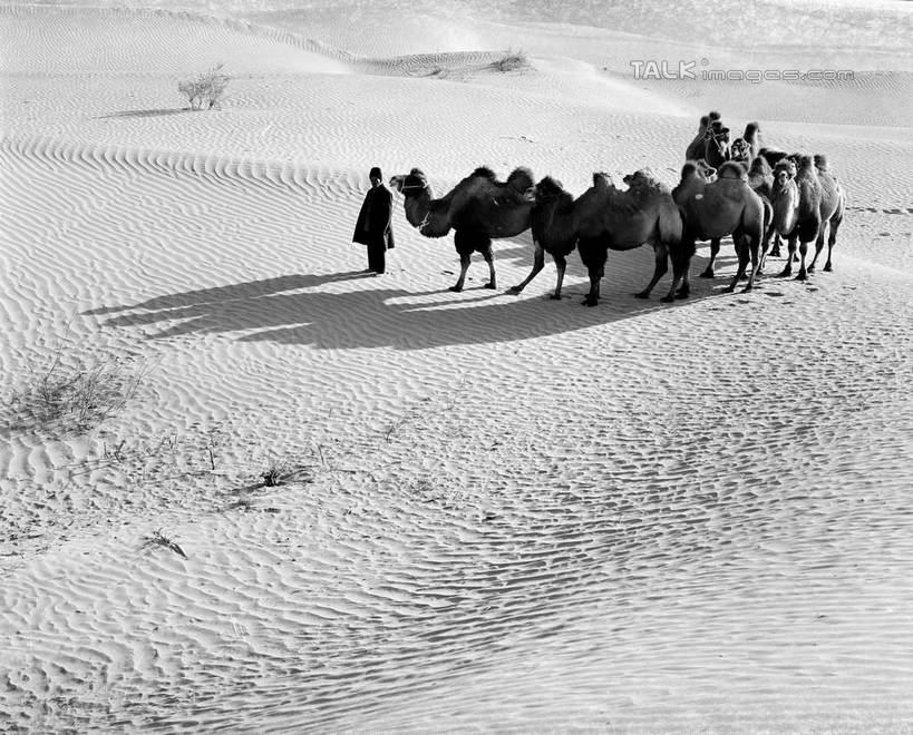 东方人,两个人,站,横图,黑白,室外,白天,正面,旅游,度假,美景,沙漠,野生动物,中国,亚洲,阴影,服装,光线,纹路,纹理,影子,景观,休闲装,黄种人,娱乐,骆驼,衣服,阳光,自然,动物,站着,享受,休闲,休闲服,景色,放松,运输,服饰,自然风光,东亚,新疆,塔克拉玛干沙漠,塔里木,肌理,沙漠之舟,中华人民共和国,新疆维吾尔自治区,西北地区,双峰骆驼,塔克拉玛干,塔克拉玛干大沙漠,塔里木盆地,男人,男性,年轻男性,年轻女性,女人,女性,亚洲人,大漠,砂漠,站立,全身,新,shcm1