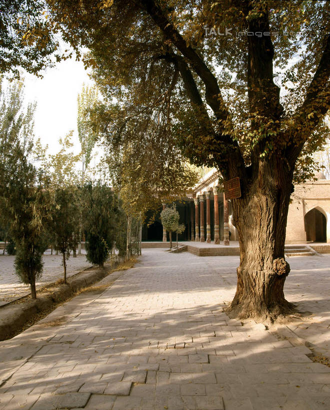 无人,竖图,室外,白天,正面,旅游,度假,名胜古迹,植物,标志建筑,地标,建筑,中国,亚洲,阴影,遗迹,光线,影子,古迹,文物,娱乐,建设,古建筑,树,树木,绿色,阳光,自然,享受,休闲,墓地,旅游胜地,放松,生长,成长,坟墓,陵墓,坟场,古文明,东亚,喀什,香妃墓,新疆,中华人民共和国,新疆维吾尔自治区,西北地区,喀什市,彩图,喀什地区,香妃墓地,新,shcm1