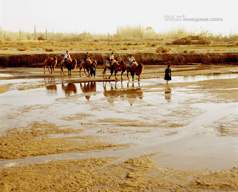 东方人,一个人,站,横图,室外,白天,侧面,旅游,度假,美景,沙漠,野生动物,中国,亚洲,仅一个男性,仅一个人,仅一个中年男性,一群,许多,阴影,服装,光线,影子,景观,很多,休闲装,黄种人,娱乐,骆驼,衣服,蓝色,蓝天,天空,阳光,自然,动物,天,站着,享受,休闲,休闲服,景色,放松,运输,服饰,晴朗,自然风光,东亚,新疆,民丰,民丰县,万里无云,沙漠之舟,中华人民共和国,新疆维吾尔自治区,西北地区,双峰骆驼,男人,男性,中年男性,亚洲人,大漠,砂漠,晴空,晴空万里,站立,彩图,全身,和田地区,新,shcm1