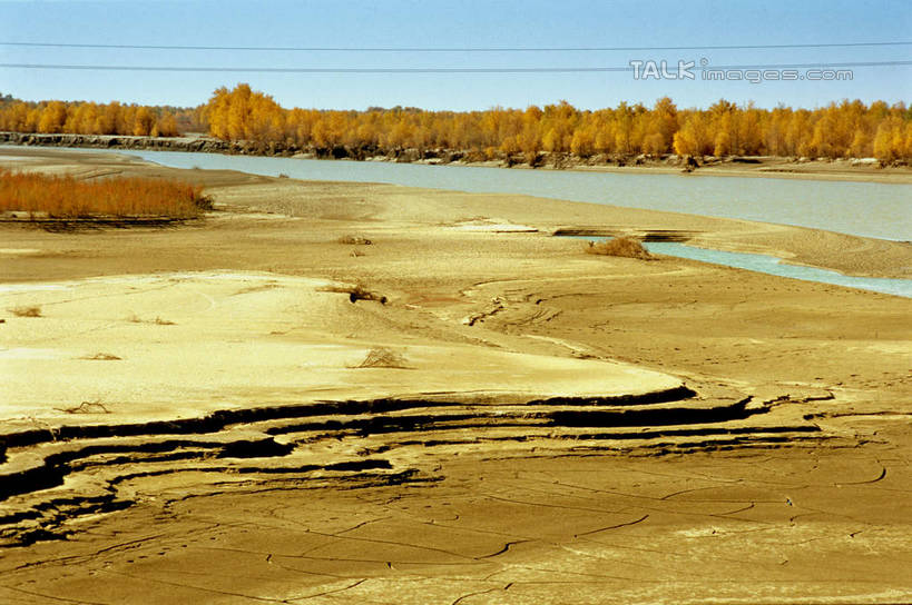 无人,横图,俯视,室外,白天,旅游,度假,河流,美景,水,植物,中国,亚洲,阴影,枯萎,光线,影子,河水,景观,水流,枯草,娱乐,草,树,树木,黄色,蓝色,绿色,蓝天,天空,阳光,自然,天,享受,休闲,景色,放松,生长,晴朗,成长,自然风光,东亚,新疆,塔里木河,塔里木,万里无云,中华人民共和国,新疆维吾尔自治区,西北地区,塔里木盆地,晴空,晴空万里,彩图,高角度拍摄,新,shcm1