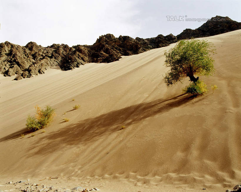 无人,横图,室外,白天,正面,旅游,度假,石头,美景,沙漠,山,山脉,植物,中国,亚洲,阴影,光线,石子,影子,景观,山峰,云,云朵,山峦,云彩,娱乐,树,树木,蓝色,绿色,白云,蓝天,天空,阳光,自然,群山,天,享受,休闲,景色,放松,生长,晴朗,成长,自然风光,东亚,吐鲁番,新疆,托克逊,托克逊县,中华人民共和国,新疆维吾尔自治区,西北地区,大漠,砂漠,石块,岩石,晴空,彩图,火洲,吐鲁番地区,新,shcm1