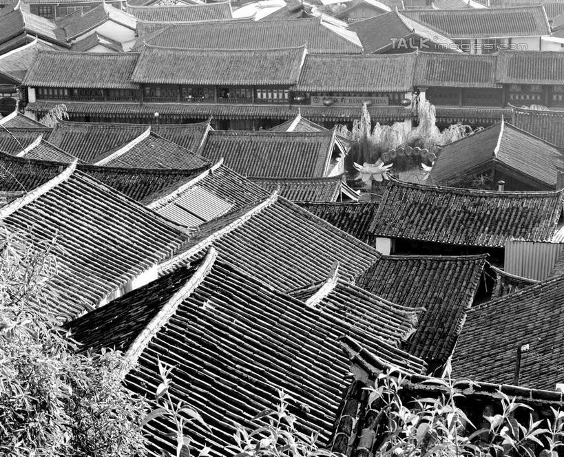 无人,横图,俯视,黑白,室外,白天,旅游,度假,名胜古迹,植物,标志建筑,地标,建筑,丽江,中国,亚洲,阴影,遗迹,光线,瓦片,影子,屋顶,顶棚,瓦,古迹,文物,娱乐,建设,古建筑,云南,树,树木,阳光,自然,享受,休闲,旅游胜地,放松,建造,生长,成长,古文明,东亚,屋瓦,云南省,丽江古城,中华人民共和国,西南地区,滇,丽江市,高角度拍摄,大研古城,丽江古镇,shcm1