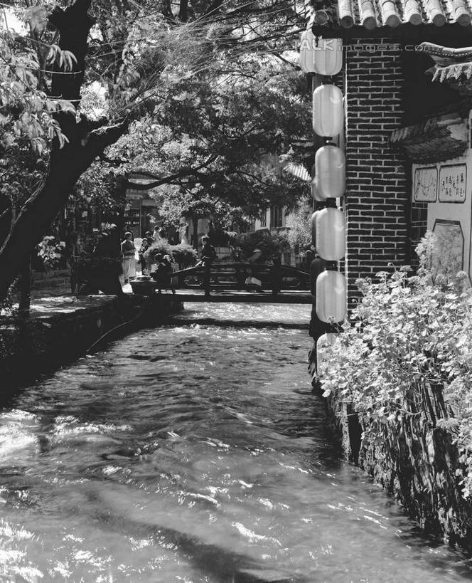 无人,家,竖图,黑白,室外,白天,正面,旅游,度假,名胜古迹,树林,植物,标志建筑,地标,建筑,照明,丽江,中国,亚洲,阴影,遗迹,光线,灯笼,影子,纸灯笼,房屋,屋子,古迹,文物,娱乐,建设,古建筑,楼房,云南,住宅,树,树木,阳光,自然,灯具,享受,休闲,旅游胜地,放松,生长,成长,照亮,照明设备,古文明,东亚,云南省,丽江古城,中华人民共和国,西南地区,滇,丽江市,房子,大研古城,丽江古镇,shcm1