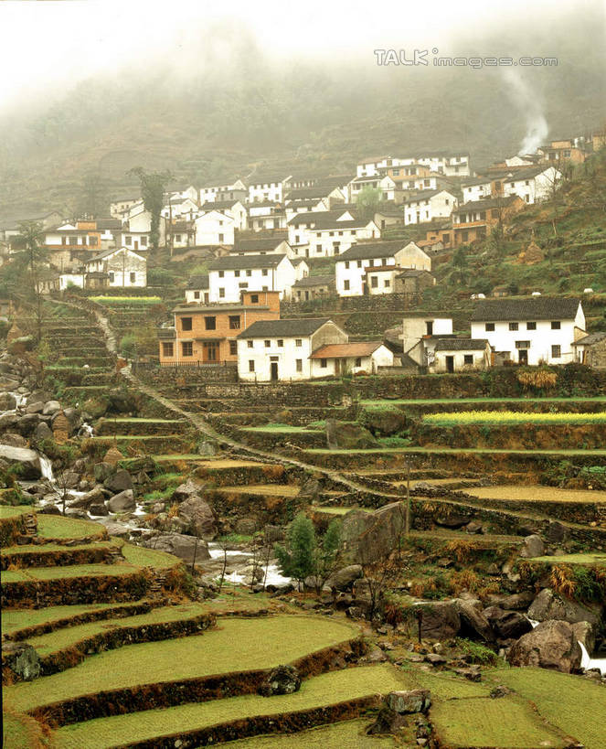 无人,家,农田,竖图,室外,白天,正面,旅游,度假,庄稼,梯田,农作物,美景,山,山脉,植物,雾,中国,亚洲,朦胧,模糊,曲折,弯曲,房屋,屋子,景观,山峰,山峦,娱乐,临安,浙江,楼房,住宅,树,树木,浙江省,绿色,自然,群山,享受,休闲,景色,放松,蜿蜒,生长,成长,迷雾,自然风光,东亚,中华人民共和国,华东地区,浙,大雾,彩图,耕地,庄稼田,房子,临安市,龙岗镇,shcm1