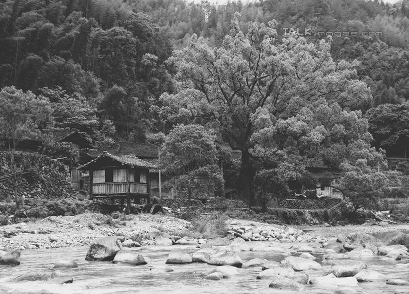无人,家,木屋,横图,黑白,室外,白天,正面,旅游,度假,河流,美景,森林,树林,水,植物,中国,亚洲,河水,景观,水流,娱乐,浙江,住宅,树,树木,浙江省,自然,享受,休闲,景色,放松,生长,成长,自然风光,东亚,永嘉,中华人民共和国,华东地区,浙,温州,温州市,茅舍,茅屋,棚屋,小木屋,小屋,永嘉县,shcm1