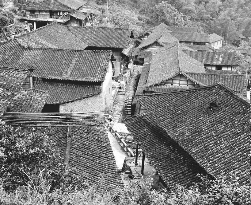 无人,家,横图,俯视,黑白,室外,白天,旅游,度假,美景,植物,建筑,中国,亚洲,瓦片,房屋,屋顶,屋子,景观,顶棚,瓦,娱乐,浙江,楼房,住宅,树,树木,浙江省,自然,享受,休闲,景色,放松,建造,生长,成长,自然风光,东亚,屋瓦,永嘉,中华人民共和国,华东地区,浙,温州,温州市,高角度拍摄,房子,永嘉县,shcm1