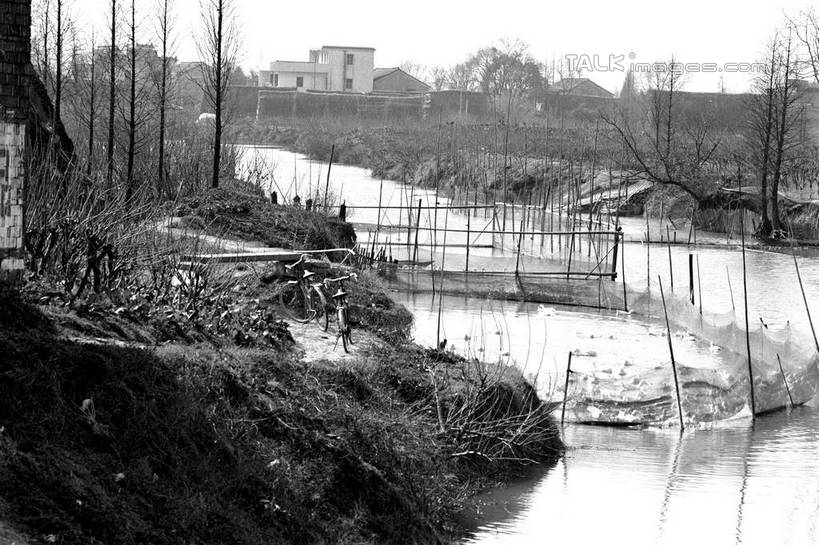 无人,家,木屋,横图,黑白,室外,白天,正面,旅游,度假,河流,美景,水,植物,中国,亚洲,河水,景观,水流,娱乐,浙江,住宅,树,树木,浙江省,天空,自然,天,享受,休闲,景色,放松,生长,成长,自然风光,东亚,桐乡,中华人民共和国,华东地区,浙,嘉兴,嘉兴市,桐乡市,茅舍,茅屋,棚屋,小木屋,小屋,shcm1