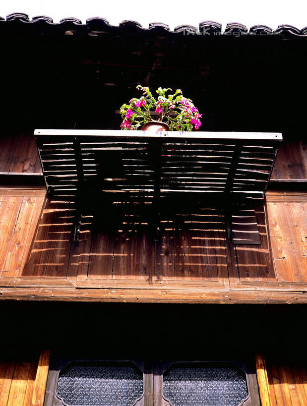 无人,家,竖图,室外,白天,仰视,旅游,度假,名胜古迹,植物,标志建筑,地标,建筑,中国,亚洲,阴影,遗迹,盛开,光线,盆栽,影子,房屋,屋子,盆景,花蕾,古迹,文物,娱乐,建设,古建筑,浙江,楼房,住宅,花,花瓣,花朵,鲜花,浙江省,绿色,阳光,自然,花苞,花蕊,享受,休闲,旅游胜地,放松,生长,成长,古文明,东亚,乌镇,桐乡,中华人民共和国,华东地区,浙,嘉兴,嘉兴市,桐乡市,彩图,低角度拍摄,房子,青墩,乌墩,乌戍,shcm1