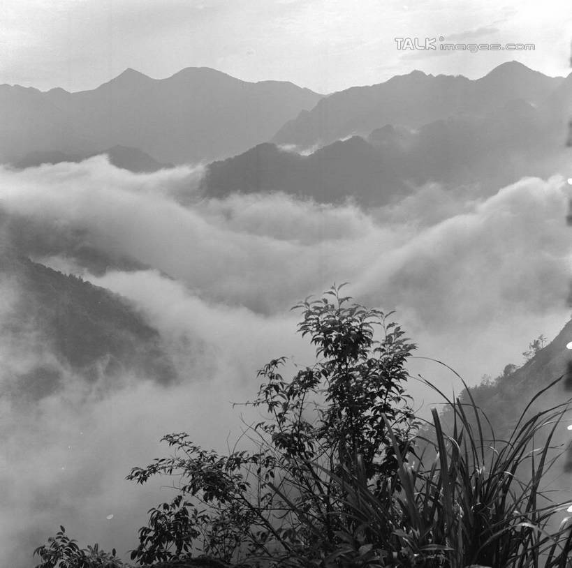 无人,横图,黑白,室外,白天,正面,旅游,度假,美景,山,山脉,树林,植物,雾,朦胧,模糊,景观,山峰,山峦,娱乐,树,树木,绿色,天空,自然,群山,天,享受,休闲,景色,放松,生长,成长,迷雾,自然风光,大雾,shgzq1