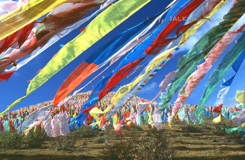 无人,横图,彩色,室外,白天,正面,旅游,度假,草地,草坪,美景,植物,旗帜,中国,亚洲,阴影,光线,影子,景观,娱乐,旗子,经幡,草,蓝色,绿色,蓝天,天空,阳光,自然,天,享受,休闲,景色,放松,晴朗,五颜六色,色彩斑斓,自然风光,五彩缤纷,东亚,新疆,万里无云,风马旗,中华人民共和国,五彩斑斓,旌旗,旗号,新疆维吾尔自治区,西北地区,五光十色,晴空,晴空万里,彩图,新,shgzq1