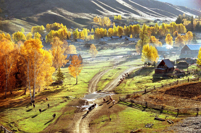 无人,横图,室外,白天,正面,旅游,度假,草地,草坪,美景,秋季,山,山脉,树林,植物,道路,路,欧洲,俄罗斯,亚洲,景观,山峰,小路,交通,山峦,首都,娱乐,草,树,树木,绿色,自然,群山,享受,休闲,景色,放松,生长,成长,自然风光,红场,莫斯科,俄联邦,俄罗斯联邦,莫斯科州,五海之港,莫斯科红场,秋,秋天,彩图,shgzq1