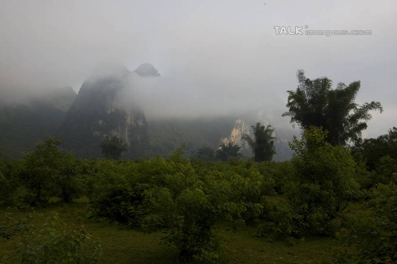 无人,横图,室外,白天,正面,旅游,度假,草地,草坪,美景,山,山脉,树林,植物,雾,桂林,中国,亚洲,朦胧,模糊,景观,山峰,山峦,娱乐,草,树,树木,绿色,自然,群山,享受,休闲,景色,放松,生长,成长,广西,迷雾,自然风光,东亚,漓江,阳朔,广西壮族自治区,中华人民共和国,桂林市,桂,华南地区,阳朔县,大雾,彩图,shgzq1