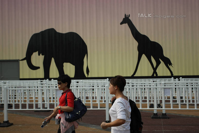 东方人,两个人,栏杆,走,横图,室外,白天,侧面,旅游,度假,标志建筑,地标,建筑,哺乳动物,长颈鹿,大象,野生动物,上海,中国,亚洲,行人,游客,游人,服装,包,皮包,墙,围栏,非洲象,注视,休闲装,黄种人,娱乐,建设,护栏,路人,旅客,墙壁,墙面,衣服,动物,观察,看,两只,享受,休闲,休闲服,上海世博馆,世博馆,上海世博会,世博,世博会,旅游胜地,放松,服饰,活泼,观看,单肩包,申,察看,关注,东亚,非洲联合馆,世博园,上海市,中华人民共和国,沪,华东地区,过客,男人,男性,年轻男性,年轻女性,女人,女性,亚洲人,象,步行,走路,半身,彩图,联合馆,shgzq1