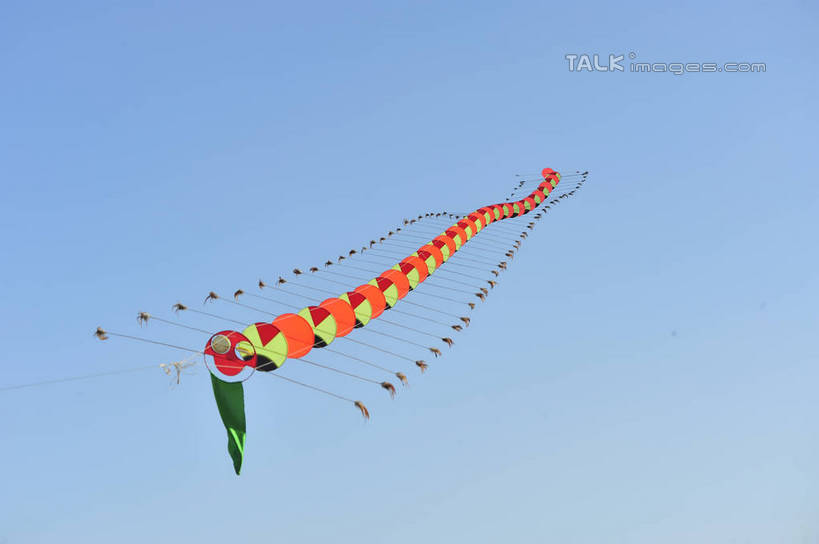 无人,横图,室外,特写,白天,仰视,静物,阴影,飘扬,光线,影子,一个,蓝色,蓝天,天空,阳光,动物,风筝,天,放风筝,晴朗,单个,飘逸,有毒,纸鸢,飞扬,节肢动物,蜈蚣,放鹞子,鹞,鹞子,鸢,木鸢,万里无云,百脚,百足虫,天龙,晴空,晴空万里,彩图,低角度拍摄,shlyb1