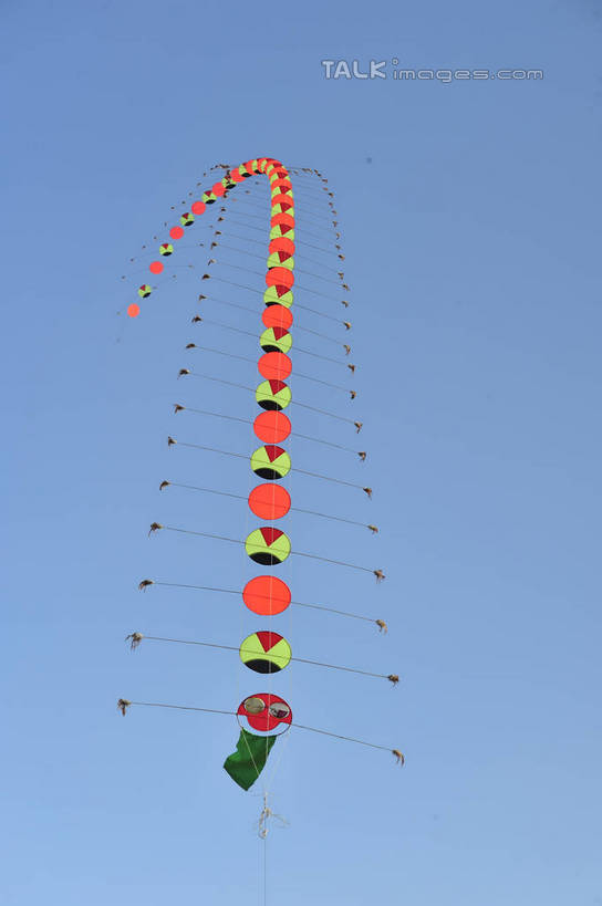 无人,竖图,室外,特写,白天,仰视,静物,阴影,飘扬,光线,影子,一个,蓝色,蓝天,天空,阳光,动物,风筝,天,放风筝,晴朗,单个,飘逸,有毒,纸鸢,飞扬,节肢动物,蜈蚣,放鹞子,鹞,鹞子,鸢,木鸢,万里无云,百脚,百足虫,天龙,晴空,晴空万里,彩图,低角度拍摄,shlyb1