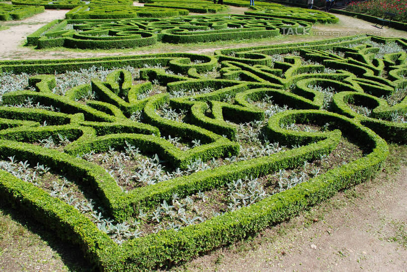 无人,横图,俯视,室外,白天,游戏,植物,葡萄牙,欧洲,环保,曲折,弯曲,防护,玩,娱乐,科英布拉,树,树木,绿色,自然,休闲,益智,蜿蜒,庞大,生长,成长,活动,复杂,发泄,美好,美妙,南欧,消遣,智力,间隔,迷宫,首府,宣泄,美观,雅观,葡萄牙共和国,繁杂,绿篱,生篱,树篱,植篱,玩耍,嬉戏,彩图,高角度拍摄,科英布拉区,shqxy1