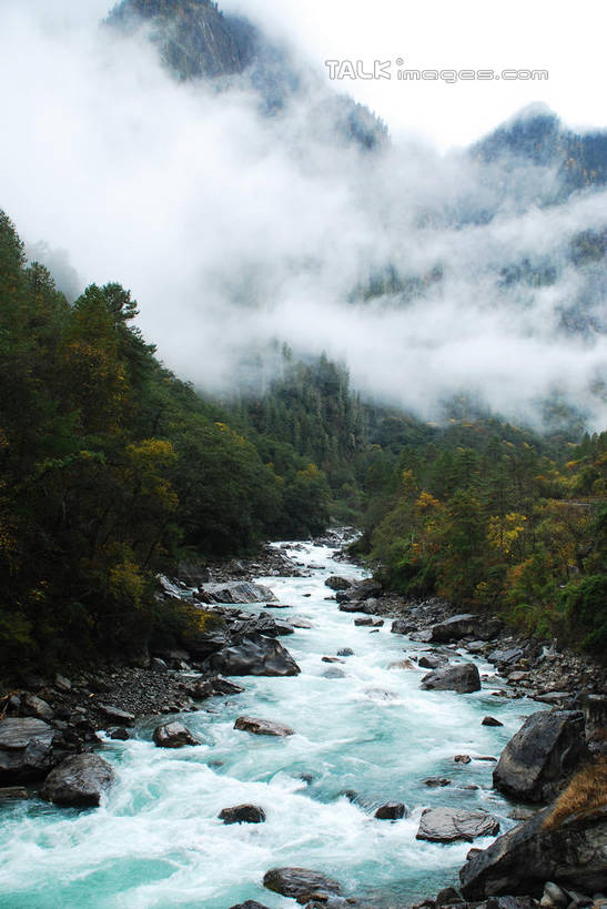 无人,竖图,室外,白天,正面,旅游,度假,河流,美景,森林,山,山脉,树林,水,植物,雾,中国,亚洲,朦胧,模糊,河水,景观,山顶,山峰,水流,山峦,娱乐,波密,西藏,树,树木,绿色,小溪,自然,群山,溪水,享受,休闲,景色,放松,生长,成长,迷雾,自然风光,藏,东亚,西藏自治区,中华人民共和国,西南地区,颠峰,极峰,大雾,彩图,波密县,shqxy1