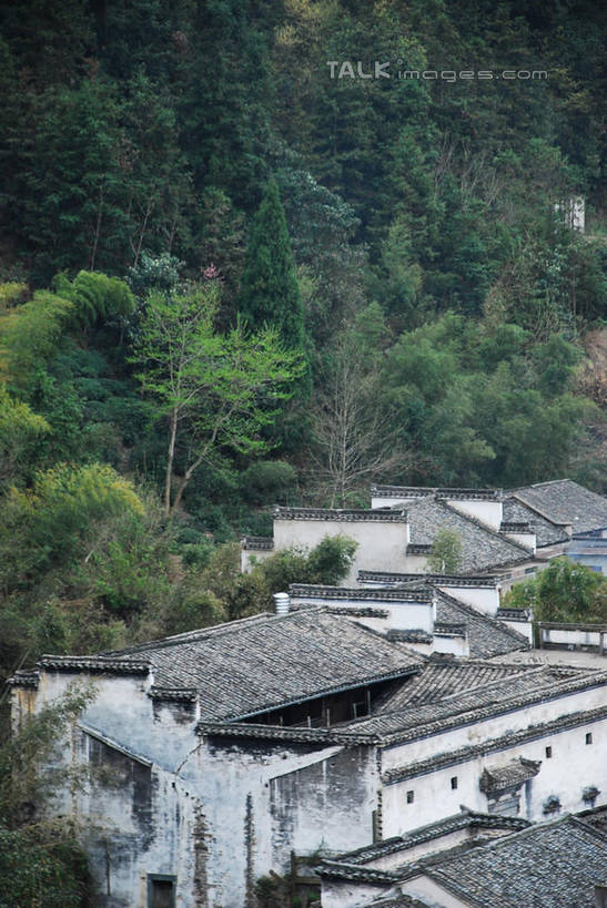 无人,家,竖图,室外,白天,正面,旅游,度假,黄山,美景,森林,树林,植物,建筑,中国,亚洲,阴影,光线,瓦片,影子,房屋,屋顶,屋子,景观,顶棚,瓦,娱乐,楼房,住宅,树,树木,绿色,阳光,自然,享受,休闲,景色,放松,建造,生长,成长,霞坑,自然风光,东亚,屋瓦,安徽,安徽省,黄山市,歙县,中华人民共和国,华东地区,皖,彩图,房子,霞坑镇,shqxy1