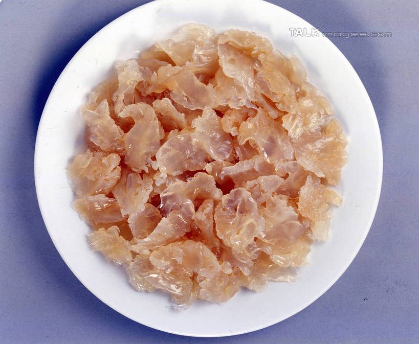 海鲜,无人,横图,俯视,室内,特写,白天,烹饪,中餐,餐桌,桌子,海蜇,餐具,阴影,蓝色背景,反射,碟子,盘,影子,料理,食品,水产,菜肴,美食,海洋生物,食物,盘子,碟,中式,摄影,凉菜,佳肴,影棚,餐台,腔肠动物,水生动物,海产品,水生物,海底动物,海蜇头,彩图,高角度拍摄,影棚拍摄,拍摄,shrj1