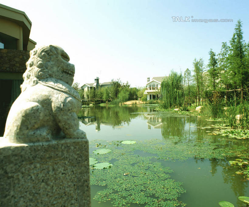 无人,横图,室外,白天,正面,度假,美景,树林,植物,城市风光,城市,哺乳动物,野生动物,狮子,叶子,雕塑,辟邪,艺术,装饰,雕刻,雕像,池塘,景观,水池,荷叶,文化,娱乐,石雕,树,树木,蓝色,绿色,蓝天,天空,自然,动物,工艺品,石狮,天,祈祷,享受,休闲,健康,景色,放松,许愿,生长,晴朗,成长,纪念,祈求,美术,主题,凶猛,陈列,万里无云,功能,美学,莲叶,驱邪,祛邪,避邪,守护神,残暴,平安,凶残,叶,叶片,晴空,晴空万里,彩图,shrj1