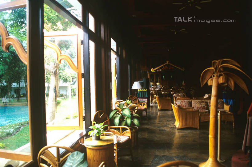 无人,餐厅,横图,室内,白天,正面,草地,草坪,树林,植物,餐桌,窗户,落地窗,桌子,椅子,花盆,朦胧,模糊,陶瓷,陶瓷制品,玻璃窗,草,树,树木,绿色,自然,容器,生长,成长,餐台,储藏,储存,彩图,餐馆,饭店,饭馆,贮存,shrj1