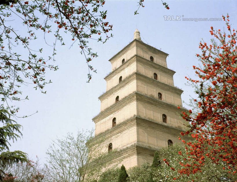 无人,横图,室外,白天,仰视,旅游,度假,名胜古迹,树林,植物,标志建筑,地标,建筑,阴影,遗迹,光线,影子,塔,古迹,文物,娱乐,建设,古建筑,宝塔,佛塔,树,树木,蓝色,绿色,蓝天,天空,阳光,自然,天,享受,休闲,旅游胜地,放松,生长,晴朗,成长,古文明,万里无云,浮图,浮屠,晴空,晴空万里,彩图,低角度拍摄,塔婆,浮图塔,浮头,佛图,shrj1