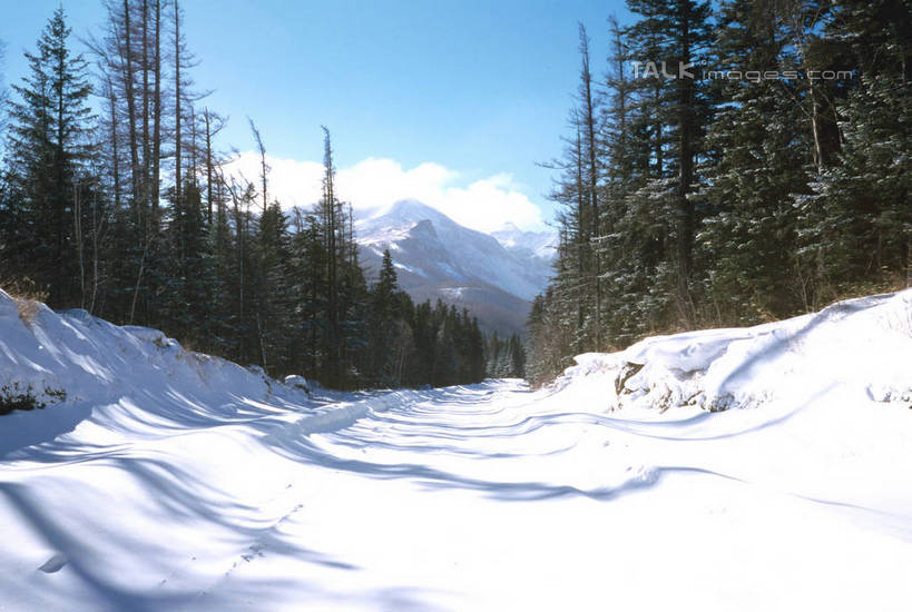 无人,横图,室外,白天,正面,旅游,度假,美景,森林,山,树林,雪,雪山,植物,大雪,道路,路,阴影,光线,影子,冰,积雪,景观,山峰,雪景,云,云朵,冬季,冬天,小路,交通,山峦,云彩,娱乐,树,树木,蓝色,绿色,白云,蓝天,天空,阳光,自然,天,享受,休闲,景色,放松,寒冷,生长,晴朗,成长,冰冷,自然风光,严寒,冰凉,酷寒,凛冽,凛凛,极冷,晴空,彩图,shrj1