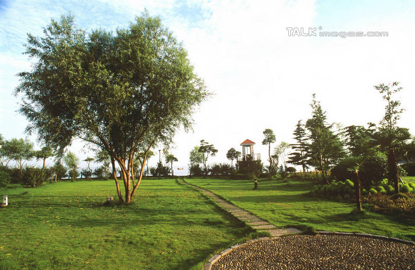 无人,农田,横图,室外,白天,正面,旅游,度假,庄稼,农作物,美景,植物,道路,路,阴影,光线,影子,景观,云,云朵,小路,交通,云彩,娱乐,树,树木,蓝色,绿色,白云,蓝天,天空,阳光,自然,天,享受,休闲,景色,放松,生长,晴朗,成长,自然风光,晴空,彩图,耕地,庄稼田,shrj1