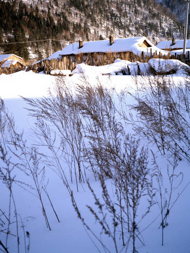 无人,家,木屋,竖图,室外,白天,正面,旅游,度假,美景,山,雪,雪山,植物,大雪,阴影,光线,影子,冰,积雪,景观,山峰,雪景,冬季,冬天,枝条,山峦,娱乐,住宅,树,树木,树枝,绿色,阳光,自然,享受,休闲,景色,放松,寒冷,生长,成长,冰冷,自然风光,严寒,冰凉,酷寒,凛冽,凛凛,极冷,虬枝,枝杈,彩图,茅舍,茅屋,棚屋,小木屋,小屋,shrj1