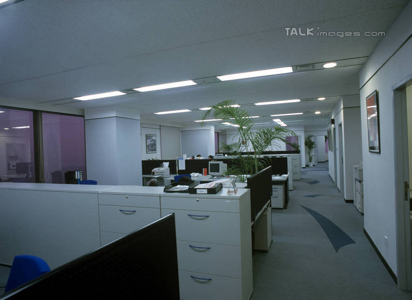 无人,办公室,横图,室内,白天,正面,绘画,植物,窗户,柜子,家具,门,桌子,椅子,照明,阴影,艺术,光线,材料,档案,盆栽,文件,影子,纸,办公桌,灯光,盆景,古典,文化,顶灯,玻璃窗,灯,绿色,自然,会议椅,手稿,资料,工艺品,灯具,门框,品味,生长,成长,办公椅,证明,照亮,美术,高雅,照明设备,储存,文档,挂画,档案柜,办公家具,美学,商务椅,培训椅,储备,蕴藏,贮备,装饰画,彩图,贮存,shrj1