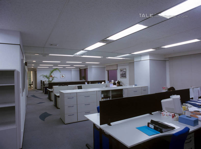 无人,办公室,横图,室内,白天,正面,绘画,植物,窗户,柜子,家具,门,桌子,椅子,照明,阴影,艺术,光线,材料,档案,盆栽,文件,影子,纸,办公桌,灯光,盆景,古典,文化,顶灯,玻璃窗,灯,绿色,自然,会议椅,手稿,资料,工艺品,灯具,门框,品味,生长,成长,办公椅,证明,照亮,美术,高雅,照明设备,储存,文档,挂画,档案柜,办公家具,美学,商务椅,培训椅,储备,蕴藏,贮备,装饰画,彩图,贮存,shrj1