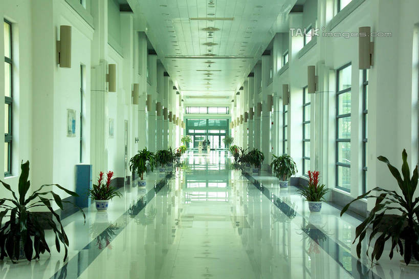 无人,横图,室内,白天,正面,植物,窗户,落地窗,花盆,照明,一排,阴影,整齐,并列,并排,反射,盆栽,影子,陶瓷,走道,走廊,过道,灯光,盆景,陶瓷制品,吊灯,玻璃窗,灯,排列,绿色,自然,容器,灯具,生长,成长,储藏,照亮,照明设备,储存,队列,平行,彩图,贮存,shrj1