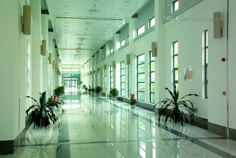 无人,横图,室内,白天,正面,植物,窗户,落地窗,花盆,照明,一排,阴影,整齐,并列,并排,反射,盆栽,影子,陶瓷,走道,走廊,过道,灯光,盆景,陶瓷制品,吊灯,玻璃窗,灯,排列,绿色,自然,容器,灯具,生长,成长,储藏,照亮,照明设备,储存,队列,平行,彩图,贮存,shrj1