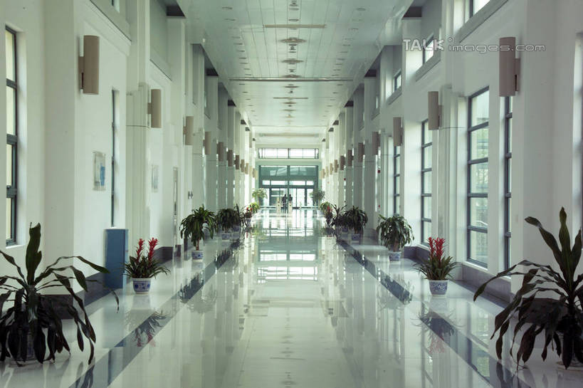 无人,横图,室内,白天,正面,植物,窗户,落地窗,花盆,照明,一排,阴影,整齐,并列,并排,反射,盆栽,影子,陶瓷,走道,走廊,过道,灯光,盆景,陶瓷制品,吊灯,玻璃窗,灯,排列,绿色,自然,容器,灯具,生长,成长,储藏,照亮,照明设备,储存,队列,平行,彩图,贮存,shrj1