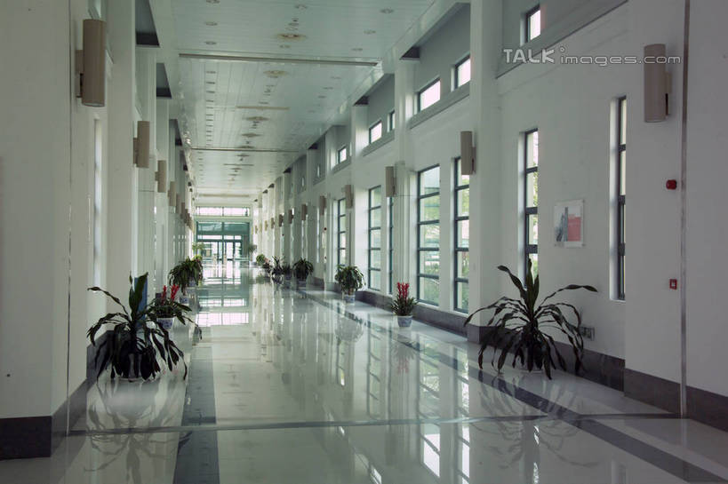 无人,横图,室内,白天,正面,植物,窗户,落地窗,花盆,照明,一排,阴影,整齐,并列,并排,反射,盆栽,影子,陶瓷,走道,走廊,过道,灯光,盆景,陶瓷制品,吊灯,玻璃窗,灯,排列,绿色,自然,容器,灯具,生长,成长,储藏,照亮,照明设备,储存,队列,平行,彩图,贮存,shrj1