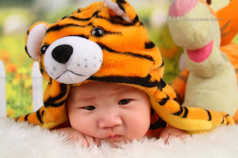 东方人,婴儿,儿童,脸,头,脸颊,一个人,横图,室内,特写,白天,背景,正面,游戏,纯洁,地毯,帽子,玩具,亚洲,仅一个人,服装,朦胧,模糊,装饰,编织,玩偶,手工艺品,织物,玩,注视,黄种人,娱乐,一只,小孩,衣服,工艺品,观察,看,趴着,休闲,可爱,益智,摄影,服饰,毛绒玩具,活泼,影棚,观看,华丽,修饰,安慰,点缀,察看,衣着,穿着,发泄,关注,消遣,宝宝,表演服,演出服,纯真,烂漫,无邪,宣泄,衬托,美观,雅致,雅观,衣饰,道具服,伶俐,天真,亚洲人,孩子,头部,脸部,脸蛋,面部,老虎,趴,玩耍,嬉戏,半身,布景,彩图,影棚拍摄,拍摄,shsc1