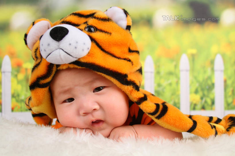 东方人,婴儿,儿童,脸,头,脸颊,一个人,横图,室内,特写,白天,背景,正面,纯洁,地毯,帽子,亚洲,仅一个人,服装,朦胧,模糊,装饰,编织,手工艺品,织物,注视,黄种人,小孩,衣服,工艺品,观察,看,趴着,可爱,摄影,服饰,活泼,影棚,观看,华丽,修饰,点缀,察看,衣着,穿着,关注,宝宝,表演服,演出服,纯真,烂漫,无邪,衬托,美观,雅致,雅观,衣饰,道具服,伶俐,天真,亚洲人,孩子,头部,脸部,脸蛋,面部,老虎,趴,半身,布景,彩图,影棚拍摄,拍摄,shsc1